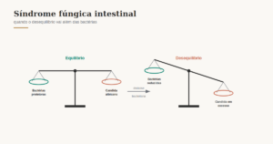 Ilustração de balança mostrando o equilíbrio e o desequilíbrio entre bactérias protetoras e Candida albicans no intestino