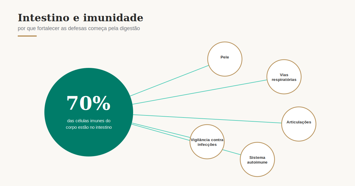 Ilustração mostrando que 70% das células imunológicas estão no intestino, conectado a pele, vias respiratórias, articulações e sistema autoimune