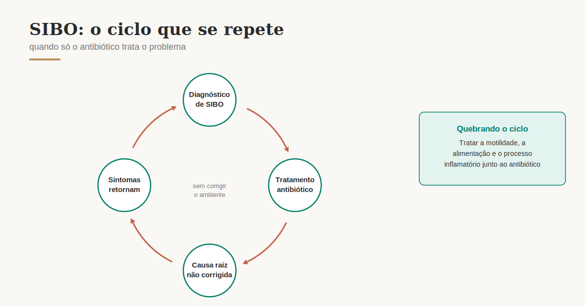 Diagrama mostrando o ciclo do SIBO: diagnóstico, tratamento antibiótico, causa raiz não tratada e recidiva