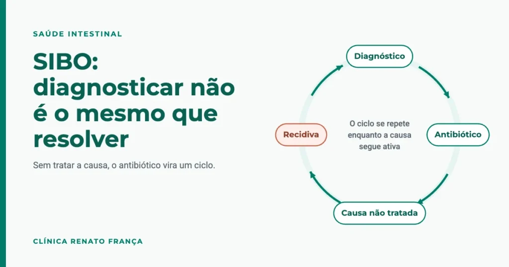 Ciclo da recidiva do SIBO: diagnóstico, antibiótico, causa não tratada e recidiva