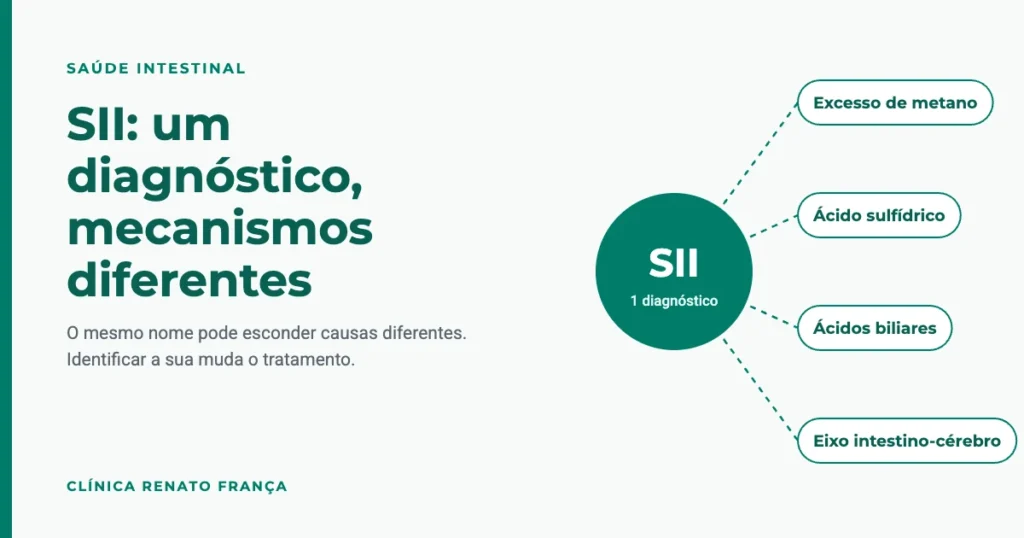 Síndrome do intestino irritável: um diagnóstico com quatro mecanismos possíveis, metano, ácido sulfídrico, ácidos biliares e eixo intestino-cérebro