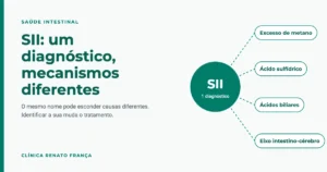 Síndrome do intestino irritável: um diagnóstico com quatro mecanismos possíveis, metano, ácido sulfídrico, ácidos biliares e eixo intestino-cérebro